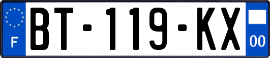 BT-119-KX