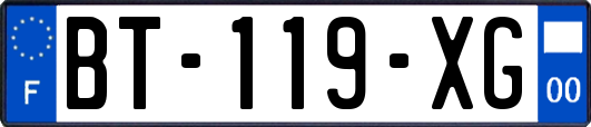 BT-119-XG