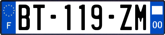 BT-119-ZM