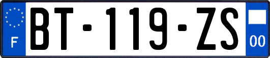 BT-119-ZS