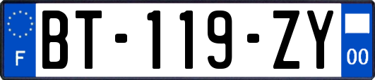 BT-119-ZY