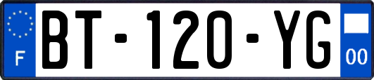 BT-120-YG