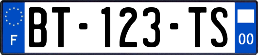 BT-123-TS