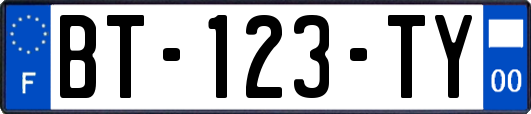 BT-123-TY