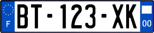 BT-123-XK