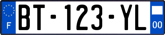 BT-123-YL