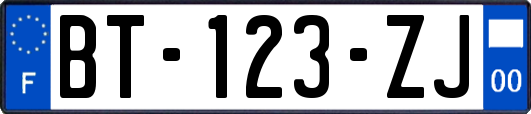 BT-123-ZJ