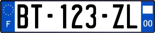 BT-123-ZL