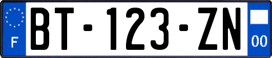 BT-123-ZN