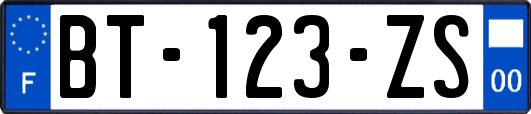BT-123-ZS