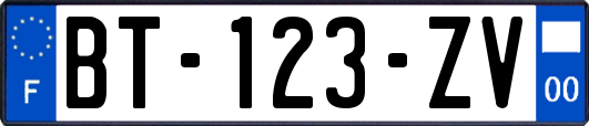 BT-123-ZV