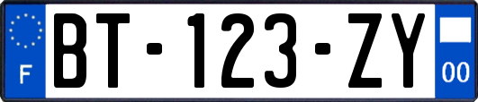 BT-123-ZY