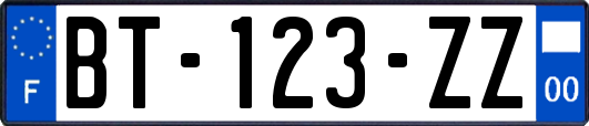 BT-123-ZZ