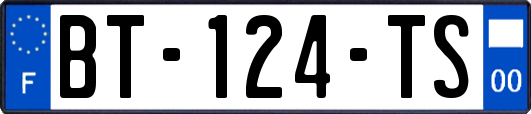 BT-124-TS