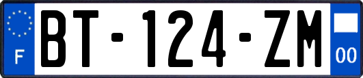 BT-124-ZM