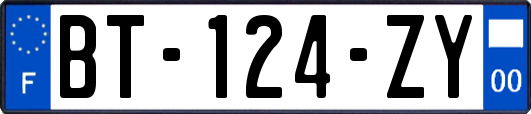 BT-124-ZY