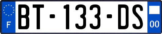 BT-133-DS