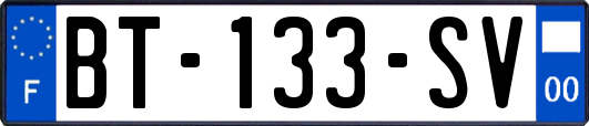 BT-133-SV