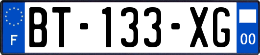 BT-133-XG