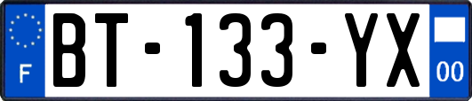 BT-133-YX