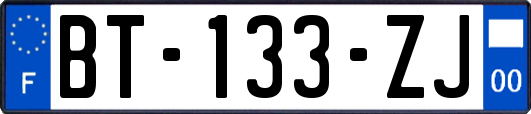 BT-133-ZJ