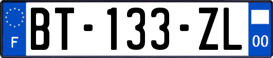 BT-133-ZL