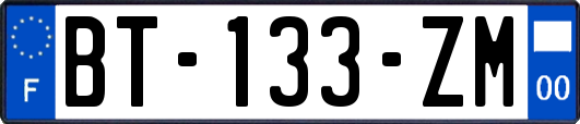 BT-133-ZM