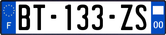 BT-133-ZS