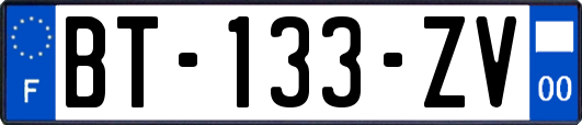 BT-133-ZV