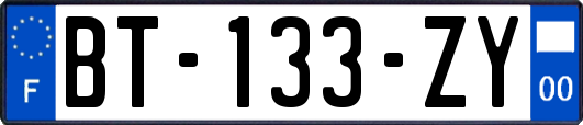 BT-133-ZY