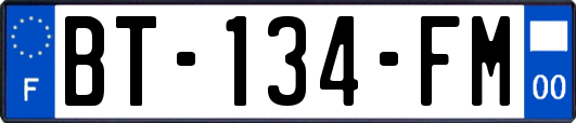 BT-134-FM