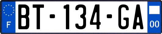 BT-134-GA