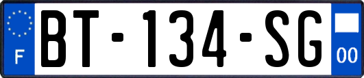 BT-134-SG