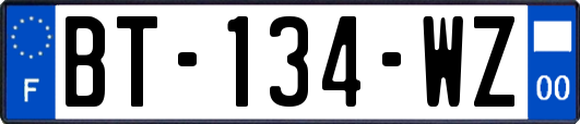 BT-134-WZ