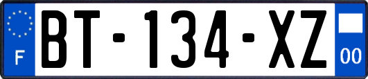 BT-134-XZ