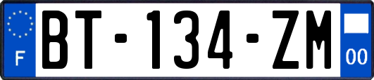 BT-134-ZM