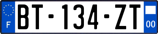 BT-134-ZT