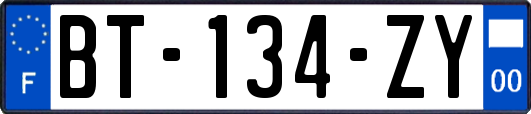 BT-134-ZY