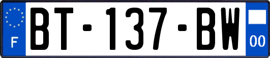 BT-137-BW