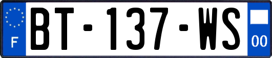 BT-137-WS