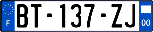 BT-137-ZJ