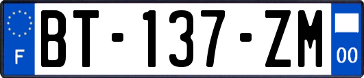 BT-137-ZM