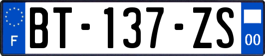 BT-137-ZS