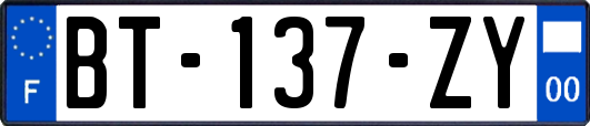 BT-137-ZY