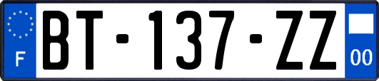 BT-137-ZZ