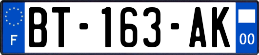 BT-163-AK