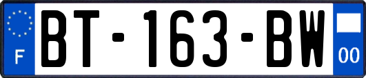 BT-163-BW