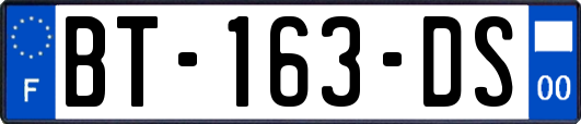 BT-163-DS