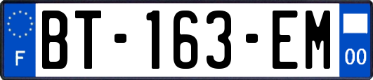 BT-163-EM