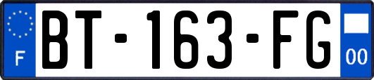 BT-163-FG